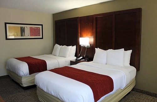 Laurinburg Hotel | 3-Star Hotel ∙ Comfort Inn Laurinburg
