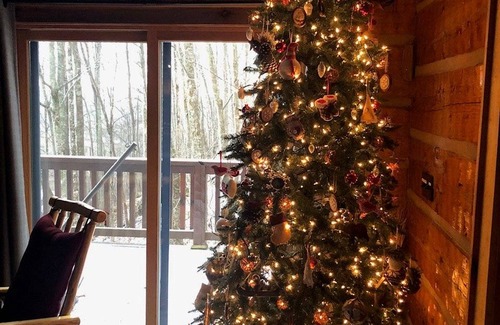 Banner Elk Cabin | 307 m² Cabin ∙ 3 bedrooms ∙ 10 guests