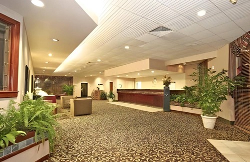 Burlington Hotel | 33 m² Hotel ∙ 127 guests
