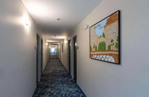 Asheville Hotel | 35 m² Hotel ∙ 127 guests