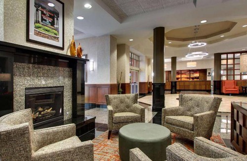 Paw Creek Hotel | 40 m² Hotel ∙ 127 guests