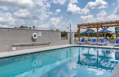 Pine Forest Hotel | 42 m² Hotel ∙ 8 guests