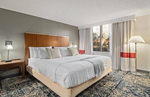 Charlotte Apartment | 45 m² Serviced apartment ∙ 6 guests