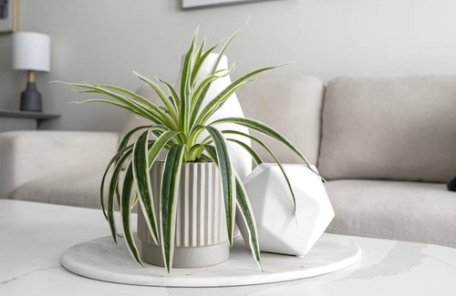 Concord Apartment | 65 m² Apartment ∙ 1 bedroom ∙ 2 guests