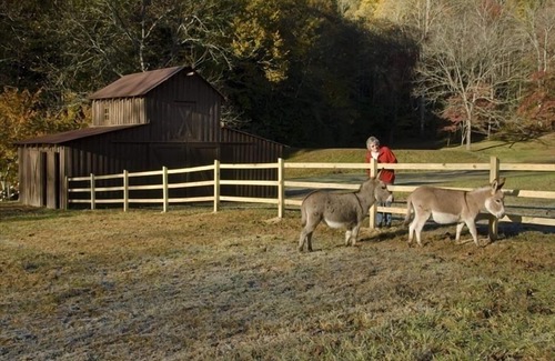 Andrews House | Awesome Cottage, Views, Waterfalls, Cute animals, streams, privacy, easy access