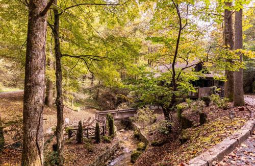 Apple Ridge House | Blackberry Creek Cabin