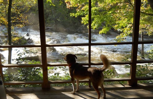 Boone Cabin | Cabin ∙ 1 bedroom ∙ 2 guests