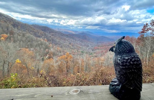 Bryson City Cabin | Cabin ∙ 5 bedrooms ∙ 10 guests