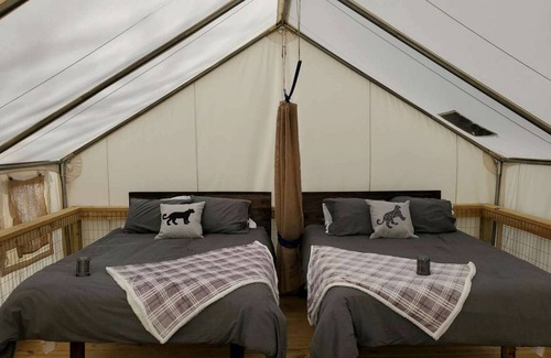 Bakersville Other | Camping ∙ 1 bedroom ∙ 6 guests
