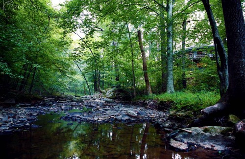 Hurdle Mills Other | Camping ∙ 3 bedrooms ∙ 8 guests