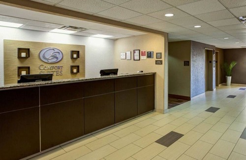 Paw Creek Hotel | Comfort Suites Airport