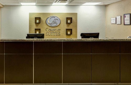 Paw Creek Hotel | Comfort Suites Airport