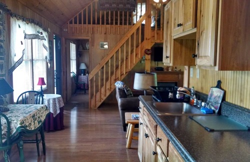 Waynesville Cabin | Deer Country Vacation Cabins #2 - Long Range View, Dogs Friendly