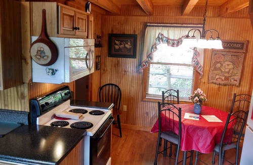 Waynesville Cabin | Deer Country Vacation Cabins #2 - Long Range View, Dogs Friendly
