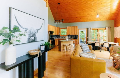 Candler Cabin | Game Room|Theater|Views