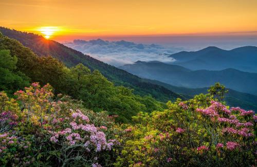 Downtown Asheville Apartment | Hiawassee E302