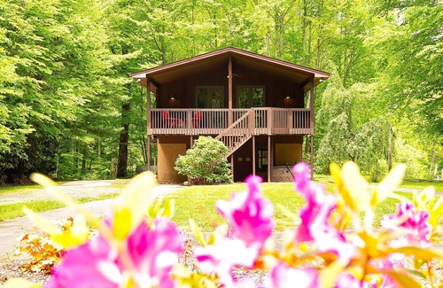 Whittier Cabin | Hidden Gem Cabin Near Cherokee & Bryson City | Secluded & Peaceful Setting