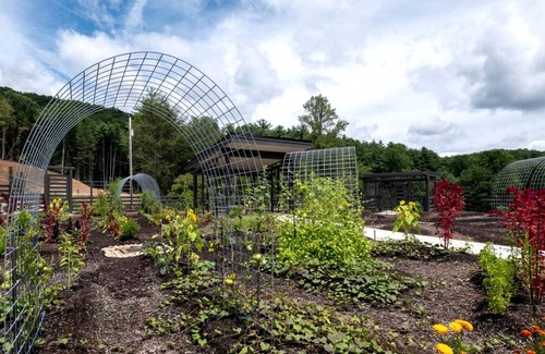 Balsam Grove House | House ∙ 1 bedroom ∙ 4 guests