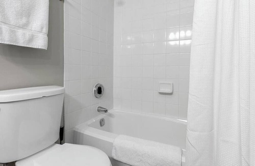 Charlotte Apartment | Landing at The Arboretum - 1 Bedroom in Oxford Hunt