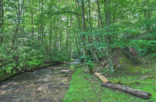 Mars Hill House | Laurel Creek Lodge with Hot Tub and Creek Access!