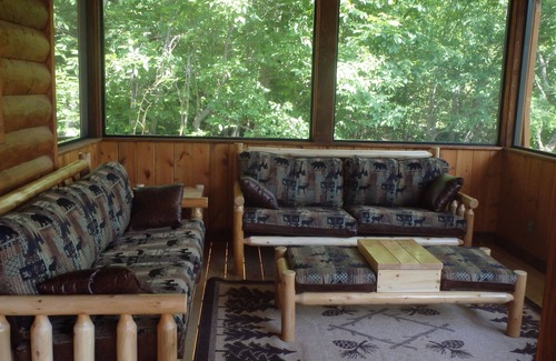 Topton Cabin | New Luxury Lakefront: Private Swimming Cove & Wifi!