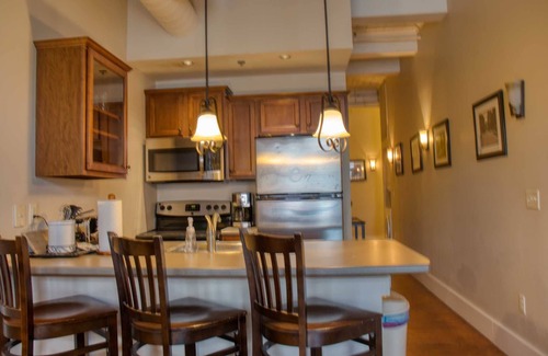 Downtown Asheville Condo | Pet Friendly Condo Downtown