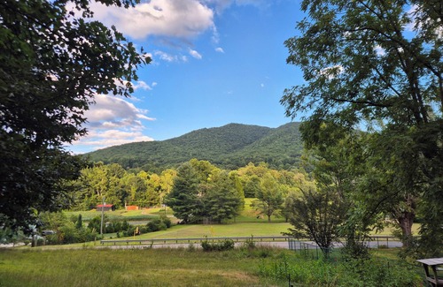 Candler Apartment | Pisgah's Peaceful Pocket