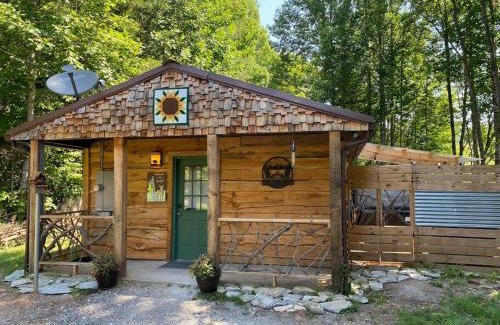Bryson City House | Poppa Bear Cabin at Gr Smoky Mtn Park! 3mi to town