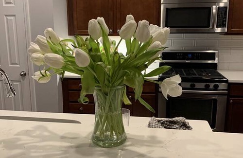 Northeast Raleigh Resort | Private room ∙ 1 guest