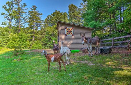 Hendersonville House | Rustic and Authentic Farm Stay by DuPont Forest!