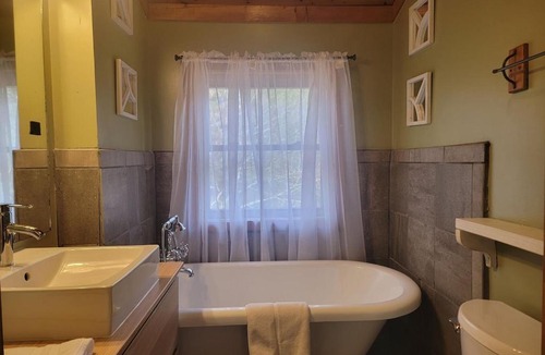 Vein Mountain House | 1 bedroom with a loft and hot tub cabin 45 minutes to Asheville