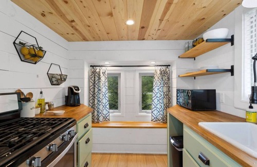 Mills River House | #1 Junior Mint · Junior Mint @ Acony Bell Tiny Home Village