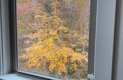 Semora House | 10 mins from VIR! 3+ acres, SECLUDED treelined property, gentle slope to lake