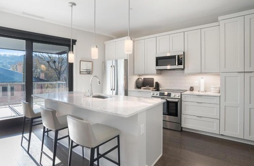 Downtown Asheville House | 145 Biltmore Ave Unit 304