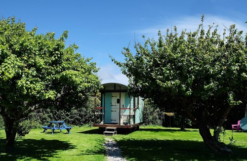 Grade Cabin | 1Bed Cabin Sleeps 2- Parking,Fireplace,Garden,Pets