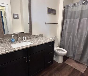 Charlotte Apartment | 2 Bedroom Boutique Apartment in the Heart of Charlotte