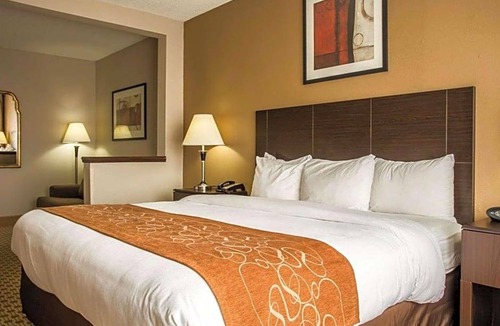 Lumberton Hotel | 2-Star Hotel ∙ Comfort Suites Lumberton