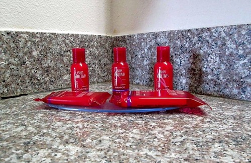 Asheboro Hotel | 2-Star Hotel ∙ SureStay Plus Hotel by Best Western Asheboro