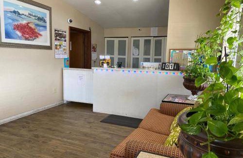Kinston Hotel | 20 m² Hotel ∙ 4 guests
