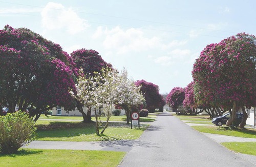 Liskeard Cottage | 3 bedroom accommodation in Liskeard
