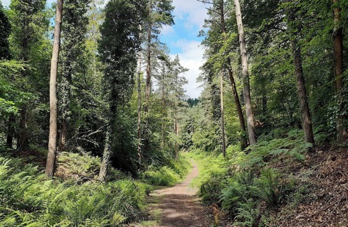 Lydbrook Cottage | 3 bedroom accommodation in Lydbrook, Forest of Dean