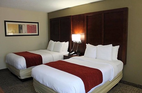 Laurinburg Hotel | 3-Star Hotel ∙ Comfort Inn Laurinburg