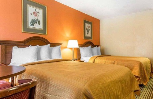 Winston - Salem Hotel | 30 m² Hotel ∙ 127 guests
