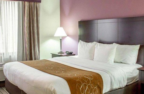 Sanford Hotel | 30 m² Hotel ∙ 127 guests