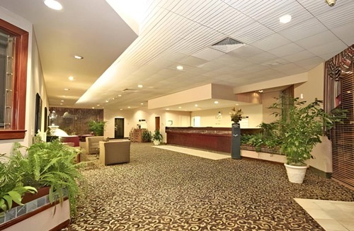 Burlington Hotel | 33 m² Hotel ∙ 127 guests