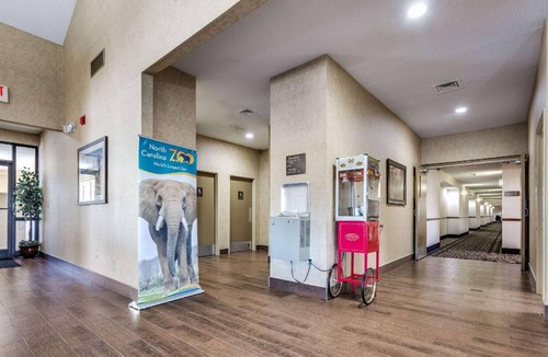 Asheboro Hotel | 35 m² Hotel ∙ 127 guests