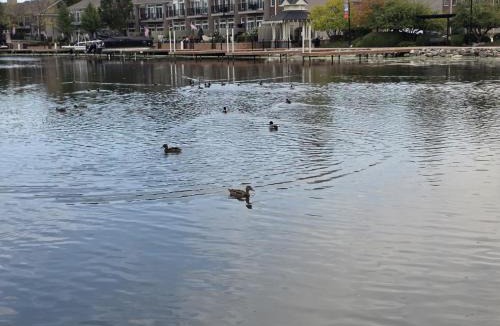 McHenry House | 3BR 2BTH Waterfront Vacation Rental on Riverwalk to Downtown McHenry with Pier