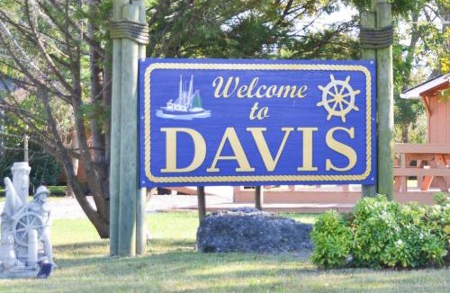 Davis House | 3BR Quiet Cottage Private Dock Fishing
