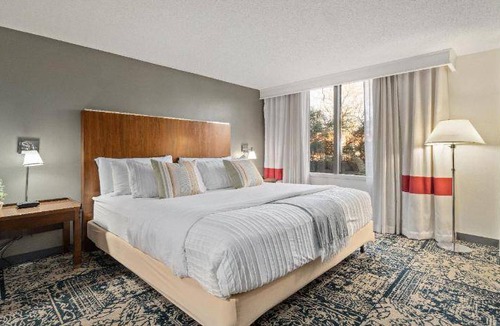 Charlotte Apartment | 45 m² Serviced apartment ∙ 6 guests
