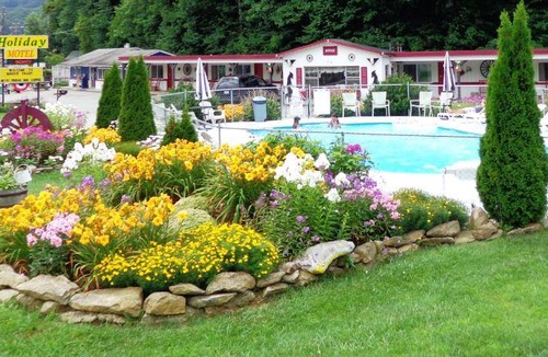Maggie Valley Hotel | 49 m² Motel ∙ 6 guests